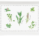 ������ Herbarium