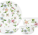 ��������� ����� 21 ������� Provence � ���������� ��������