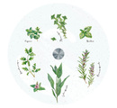 ����� ����������� Herbarium